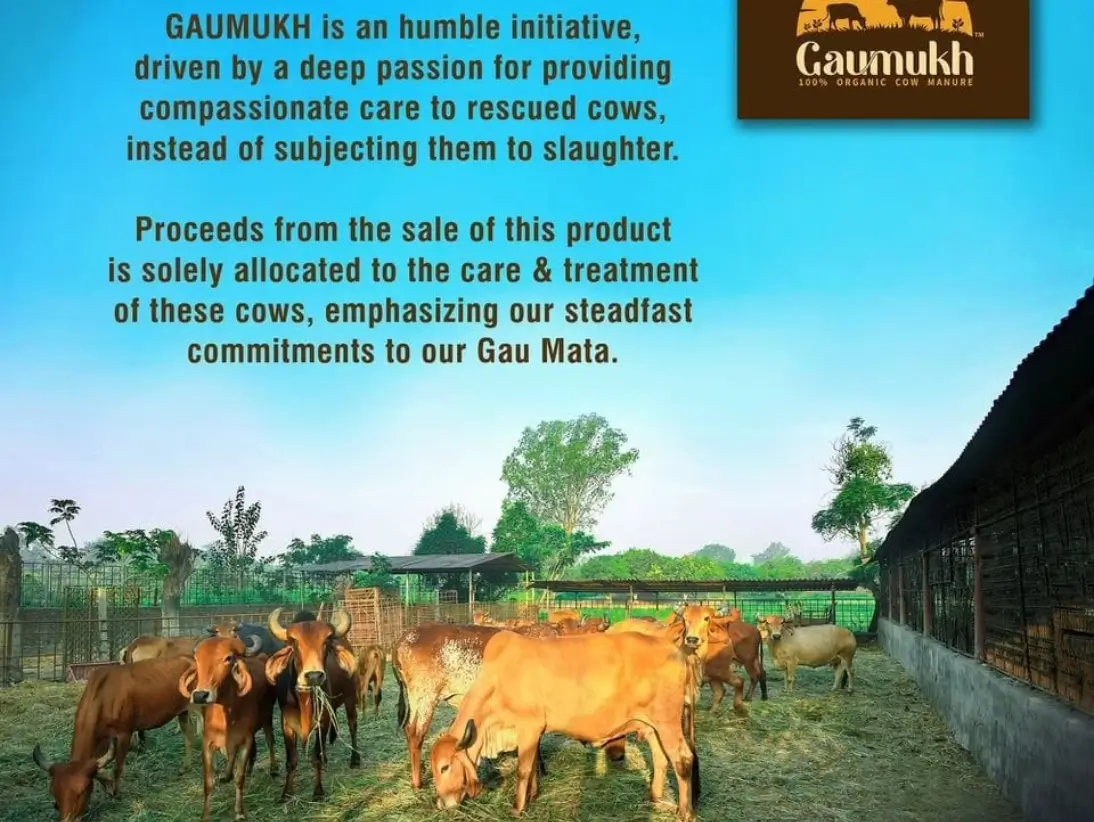 gaumukh